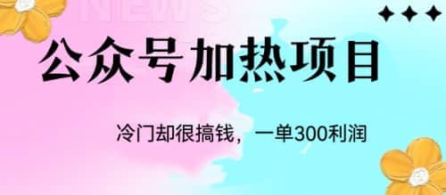 冷门公众号加热项目，一单利润300-芸启轻创