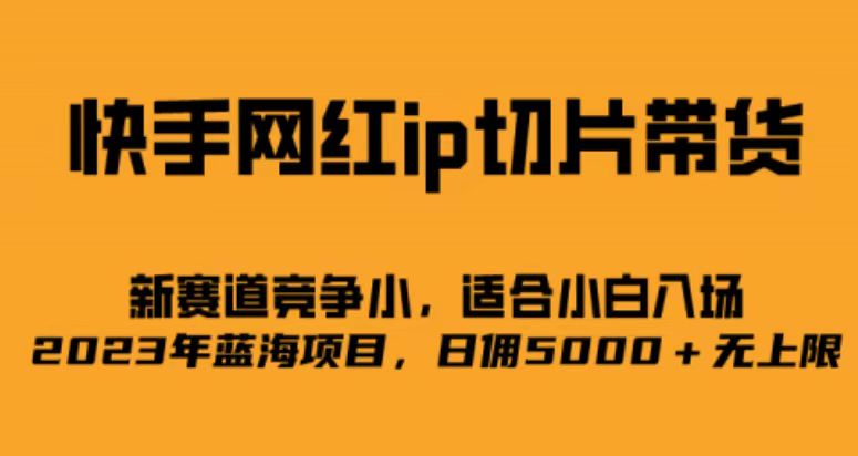 快手网红ip切片新赛道，竞争小事，适合小白 2023蓝海项目-芸启轻创