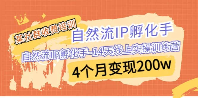 某社群收费培训：自然流IP 孵化手-14天线上实操训练营 4个月变现200w-芸启轻创