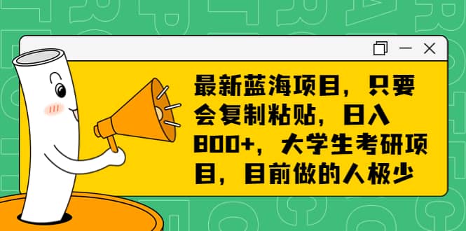 最新蓝海项目，只要会复制粘贴，日入800 ，大学生考研项目，目前做的人极少-芸启轻创
