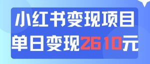 利用小红书卖资料单日引流150人当日变现2610元小白可实操（教程+资料）-芸启轻创