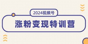 2024视频号-涨粉变现特训营:一站式打造稳定视频号涨粉变现模式(10节)-芸启轻创
