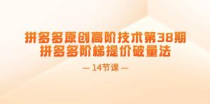 拼多多原创高阶技术第38期,拼多多阶梯提价破量法(14节课)-芸启轻创