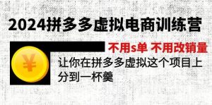 2024拼多多虚拟电商训练营 不s单 不改销量  做虚拟项目分一杯羹(更新10节)-芸启轻创