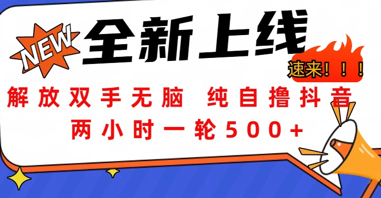 解放双手无脑 纯自撸抖音 两小时一轮500+-芸启轻创