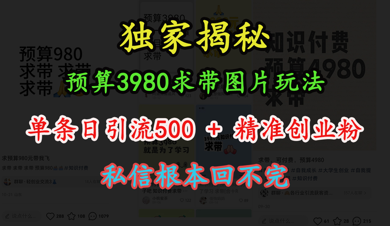 “小红书”预算3980求带 图片玩法，单条日引流500+精准创业粉，私信根本回不完-芸启轻创