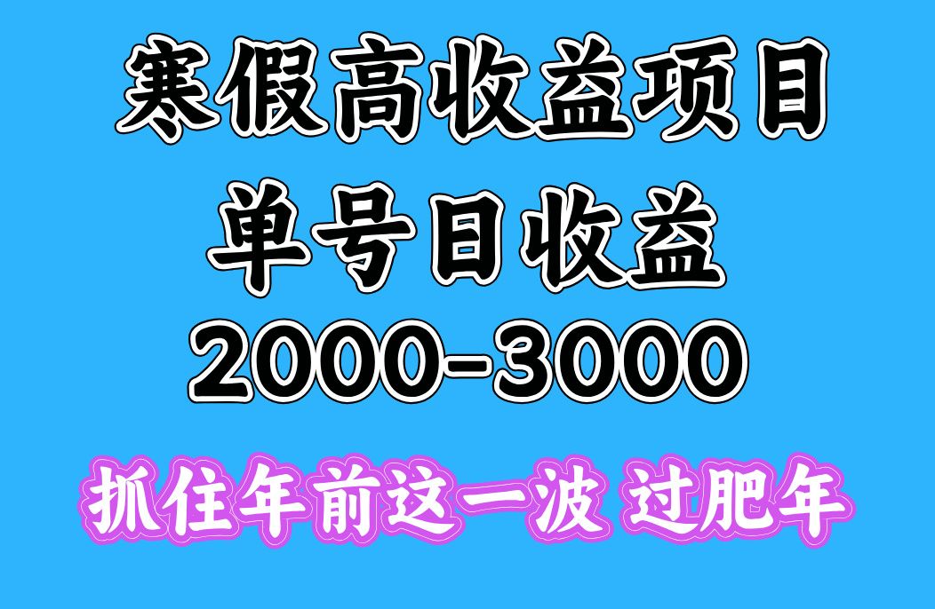 寒假期间一天收益2000-3000+，抓住年前这一波-芸启轻创