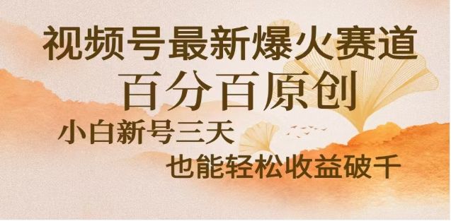 视频号独家玩法,老年养生赛道,无脑搬运爆款视频,日入2000+-芸启轻创