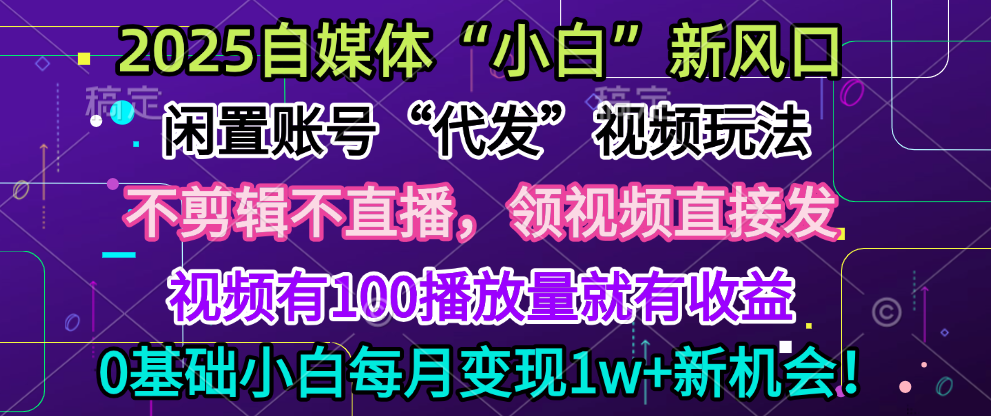 2025每月躺赚5w+新机会,闲置视频账号一键代发玩法,0粉不实名不剪辑,领了视频直接发,0基础小白也能日入300+-芸启轻创