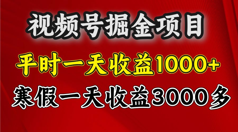 视频号掘金项目,寒假一天收益3000多-芸启轻创