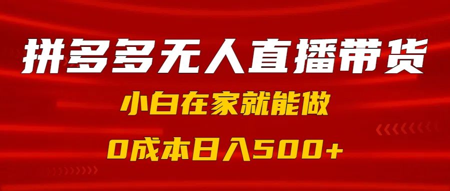 拼多多无人直播带货，小白在家就能做，0成本日入500+-芸启轻创