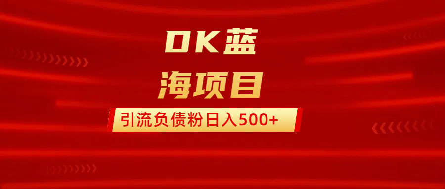 DK蓝海项目  通过，抖音，快手，小红书，引流负债粉日入500+-芸启轻创