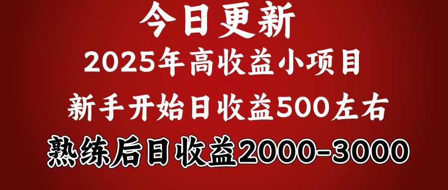 好项目一眼就能看出来，日收益1000，长久可做，2025拼的就是我比你勤奋-芸启轻创