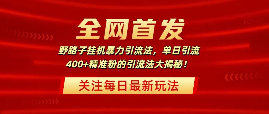 全网首发，野路子挂机暴力引流法，单日引流400+精准粉的引流法大揭秘！-芸启轻创