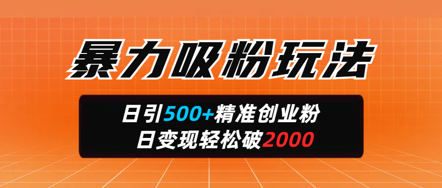 暴力吸粉玩法,日引500+精准创业粉,日变现轻松破2000-芸启轻创