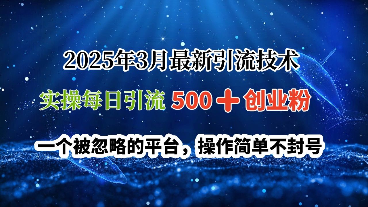 2025年3月最新引流技术，实操每日引流500➕创业粉，一个被忽略的平台，操作简单不封号-芸启轻创