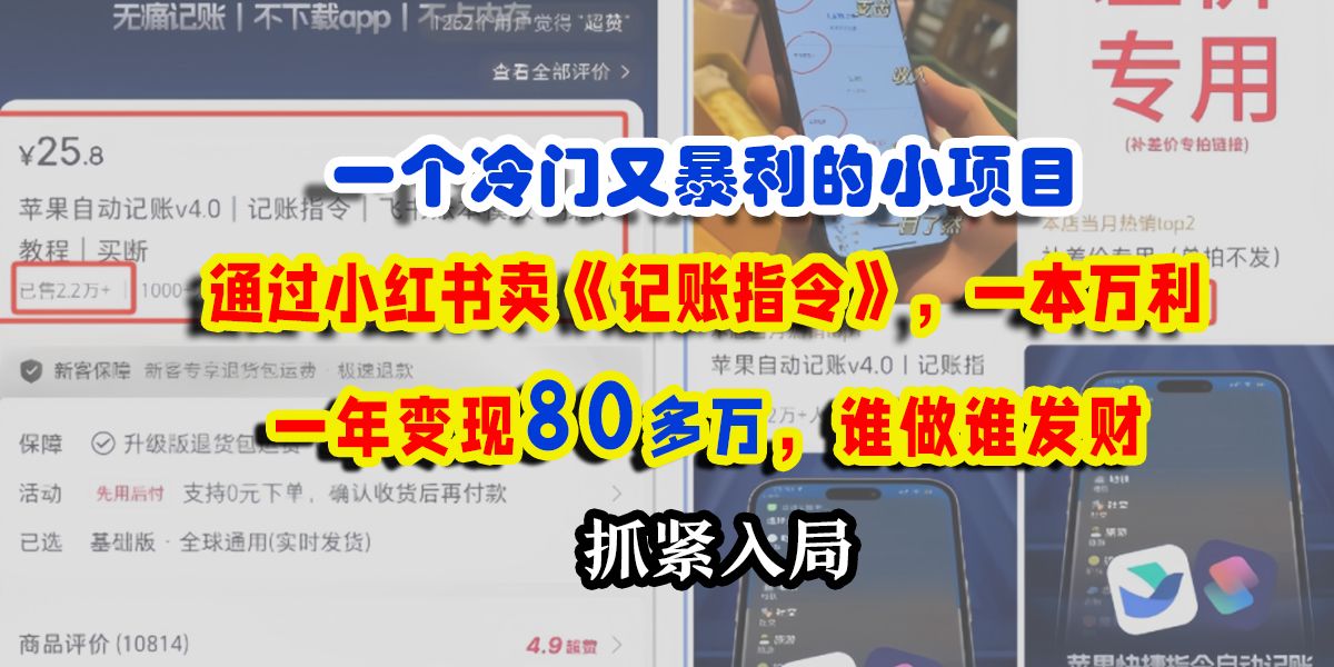 一个冷门又暴利的小项目，通过小红书卖《记账指令》，一本万利，一年变现80多万，谁做谁发财-芸启轻创