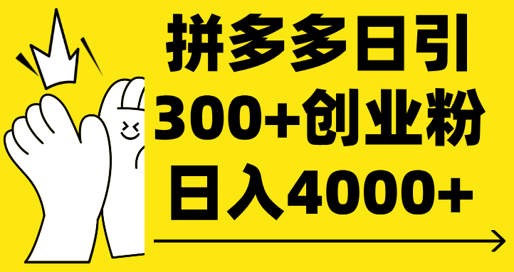 拼多多日引300+创业粉 日入4000+-芸启轻创