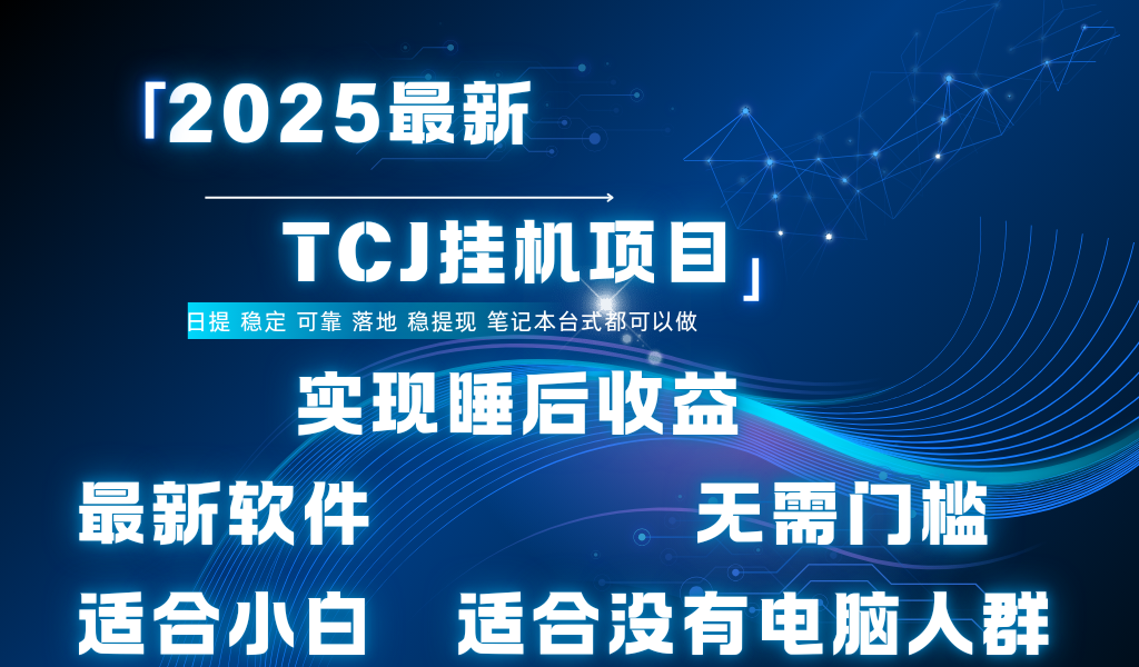 最新海外TCJ无门槛美金项目可矩阵放大操作 单日可达400+日提-芸启轻创