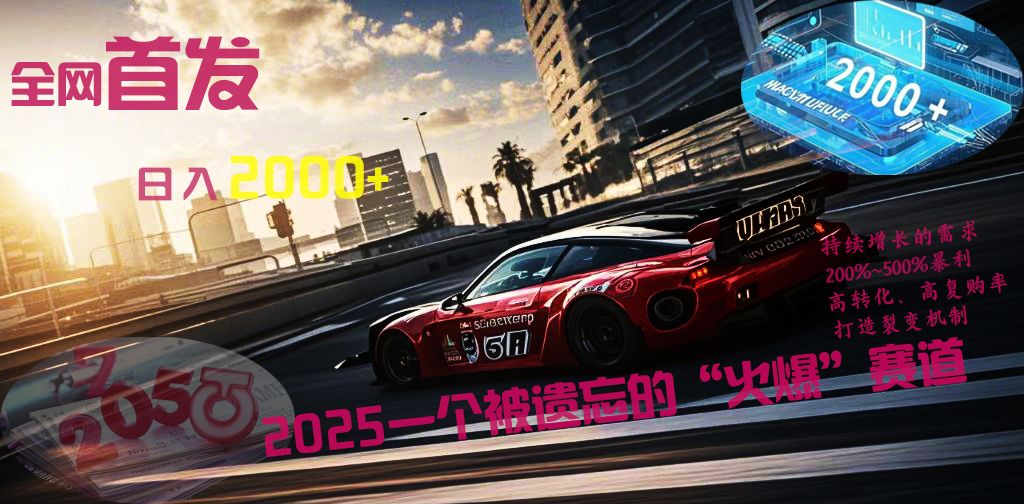 全网首发：2025一个被遗忘的“火爆”赛道轻松日入2000+-芸启轻创