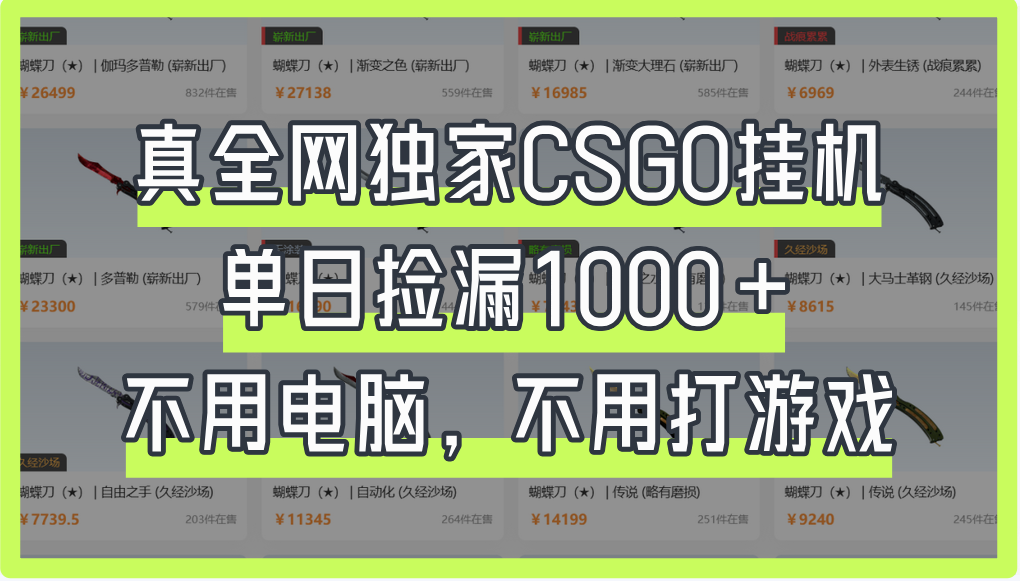 真全网独家CSGO挂机，单日捡漏1000+-芸启轻创