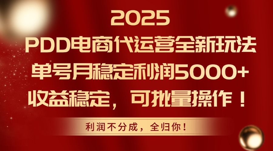 2025 PDD电商代运营全新玩法，单号月稳定利润5000+，收益稳定，可批量操作！-芸启轻创