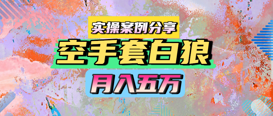 空手套白狼，月入五万，实操案例分享-芸启轻创