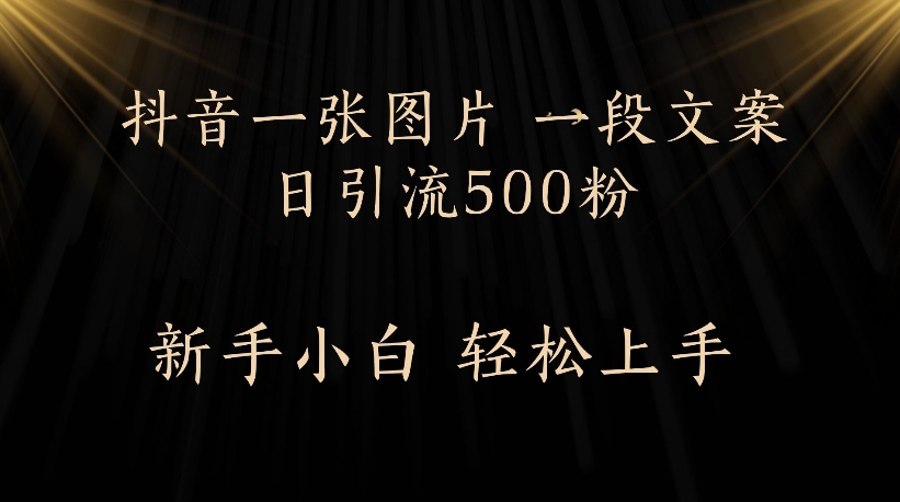 抖音一张图片，一段文案日引流500粉，新手小白 轻松上手-芸启轻创