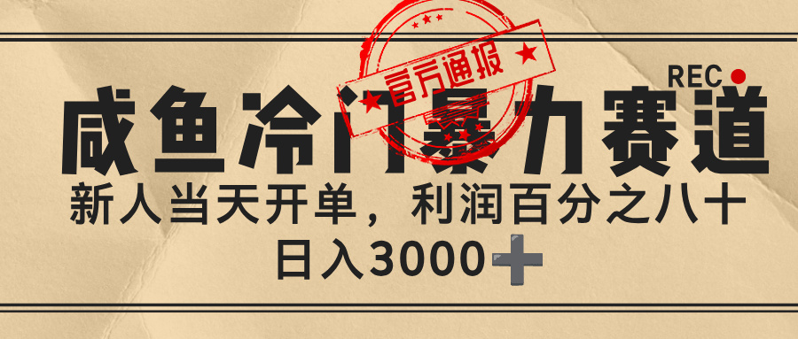 闲鱼，冷门暴力赛道，一单 80%利润，新人轻松日入 3000+-芸启轻创