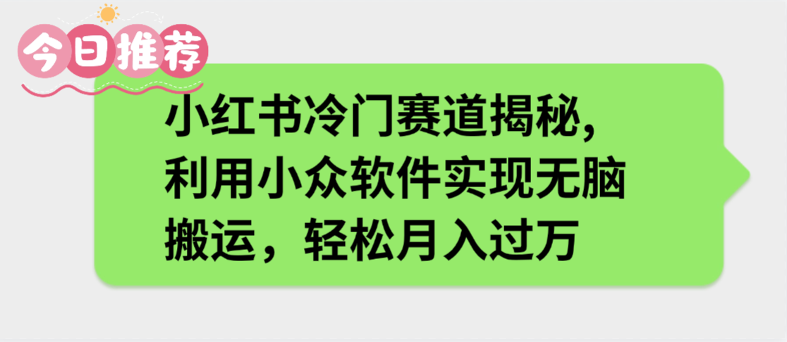 小红书冷门赛道揭秘,利用小众软件实现无脑搬运，轻松月入过万-芸启轻创