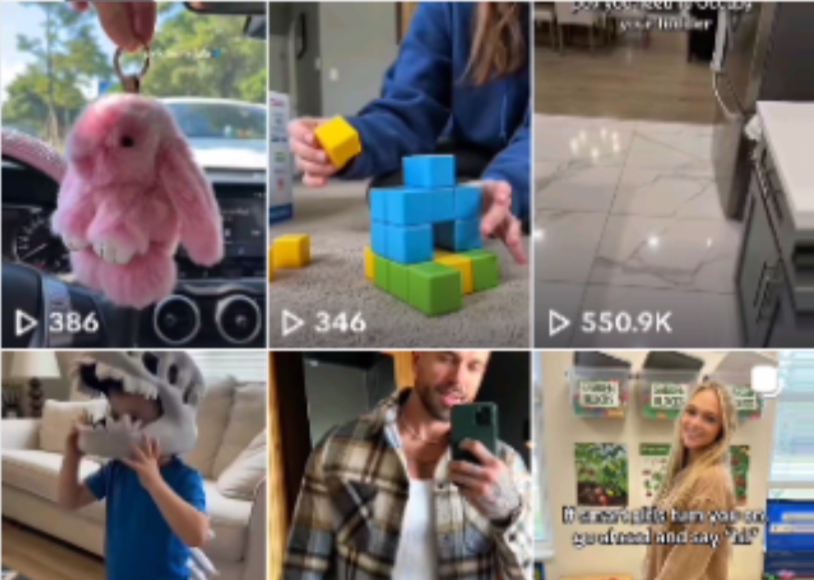 万字实操指南:Seedance联手TikTok带货,月入六位数可复制的全攻略-芸启轻创