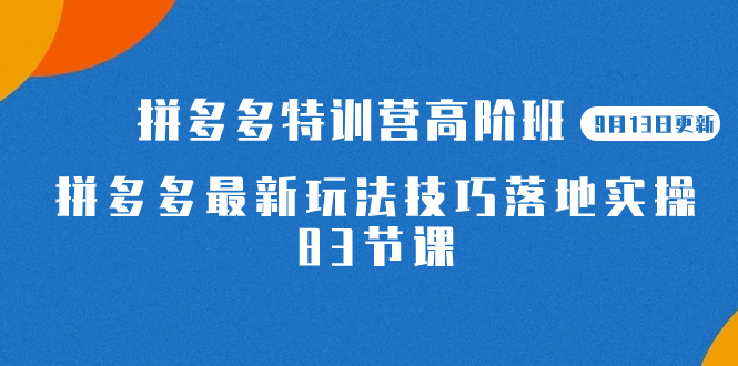2023拼多多·特训营高阶班【9月13日更新】拼多多最新玩法技巧落地实操-83节-芸启轻创