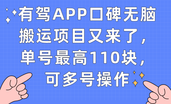 有驾APP口碑无脑搬运项目又来了，单号最高110块，可多号操作-芸启轻创