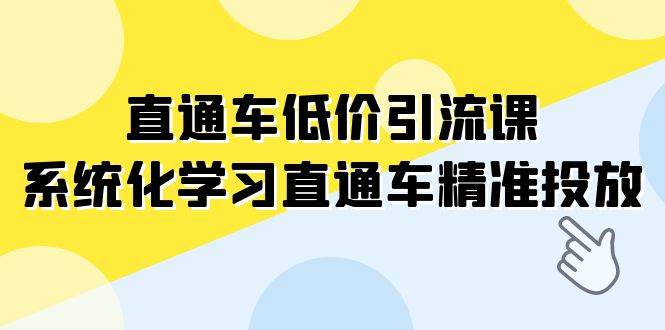 直通车-低价引流课，系统化学习直通车精准投放（14节课）-芸启轻创