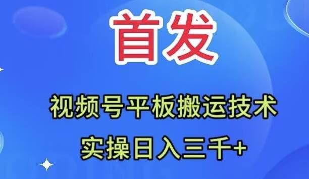 全网首发：视频号平板搬运技术，实操日入三千＋-芸启轻创