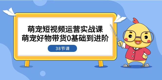 萌宠·短视频运营实战课：萌宠好物带货0基础到进阶（38节课）-芸启轻创