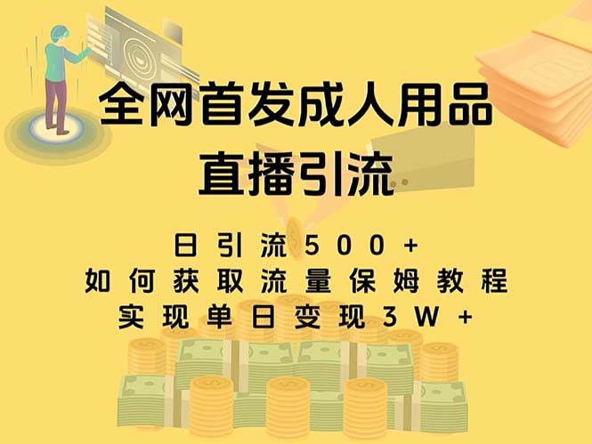最新全网独创首发，成人用品直播引流获客暴力玩法，单日变现3w保姆级教程-芸启轻创