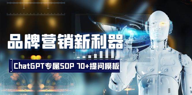 品牌营销新利器：ChatGPT专属SOP，70 提问模板-芸启轻创