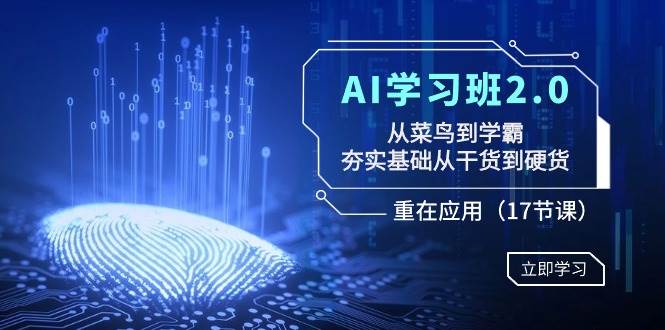 AI学习班2.0：从菜鸟到学霸，夯实基础从干货到硬货，重在应用（17节课）-芸启轻创