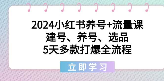 2024小红书养号+流量课：建号、养号、选品，5天多款打爆全流程-芸启轻创
