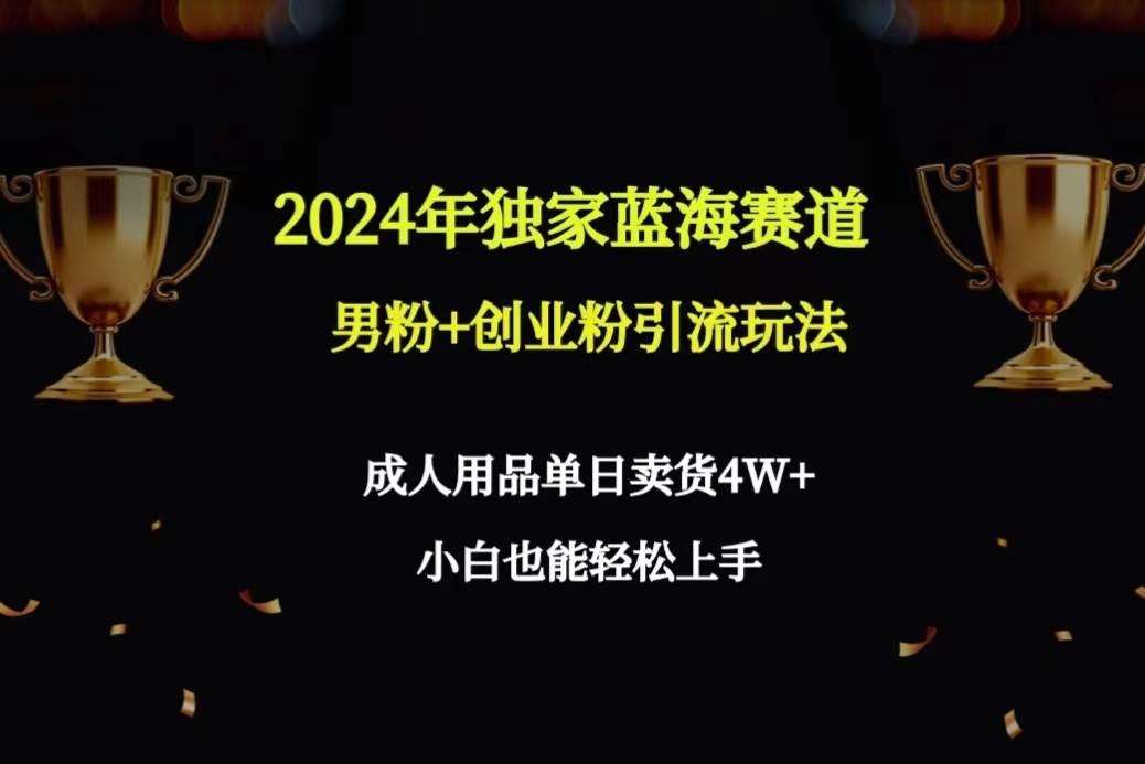 2024年独家蓝海赛道男粉+创业粉引流玩法，成人用品单日卖货4W+保姆教程-芸启轻创