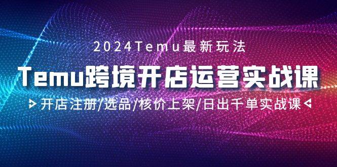 2024Temu跨境开店运营实战课，开店注册/选品/核价上架/日出千单实战课-芸启轻创