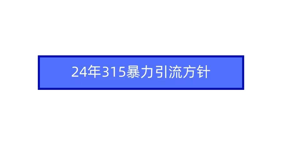 2024年315暴力引流方针-芸启轻创