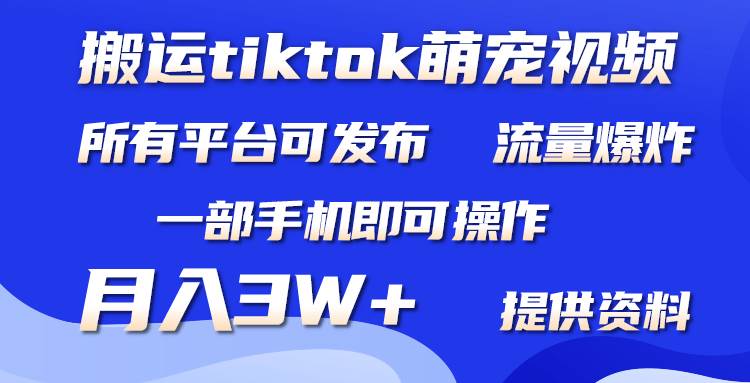 搬运Tiktok萌宠类视频，一部手机即可。所有短视频平台均可操作，月入3W+-芸启轻创