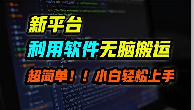 新平台用软件无脑搬运，月赚10000+，小白也能轻松上手-芸启轻创