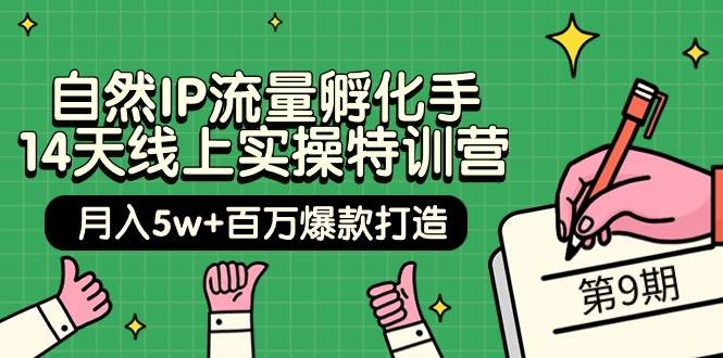 自然IP流量孵化手 14天线上实操特训营【第9期】月入5w+百万爆款打造 (74节)-芸启轻创