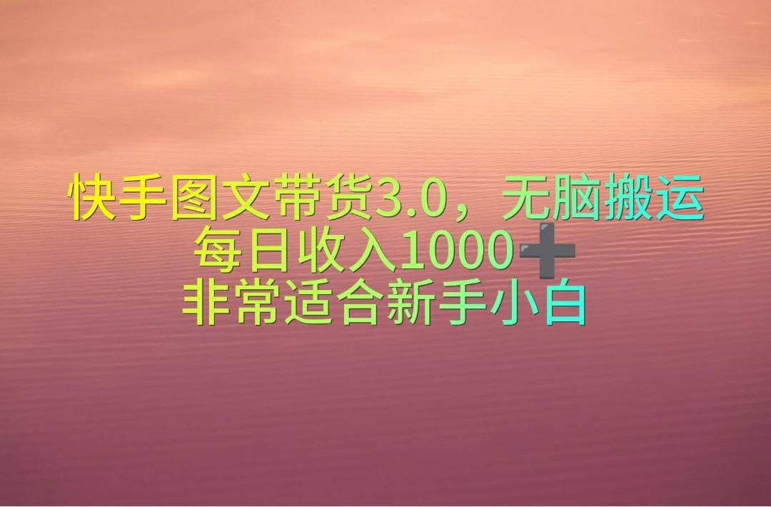 快手图文带货3.0，无脑搬运，每日收入1000＋，非常适合新手小白-芸启轻创