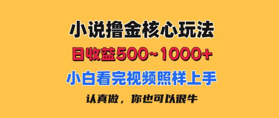 小说撸金核心玩法，日收益500-1000+，小白看完照样上手，0成本有手就行-芸启轻创