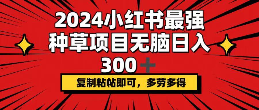 2024小红书最强种草项目，无脑日入300+，复制粘帖即可，多劳多得-芸启轻创